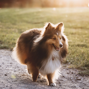 Marina & Lucy Parker